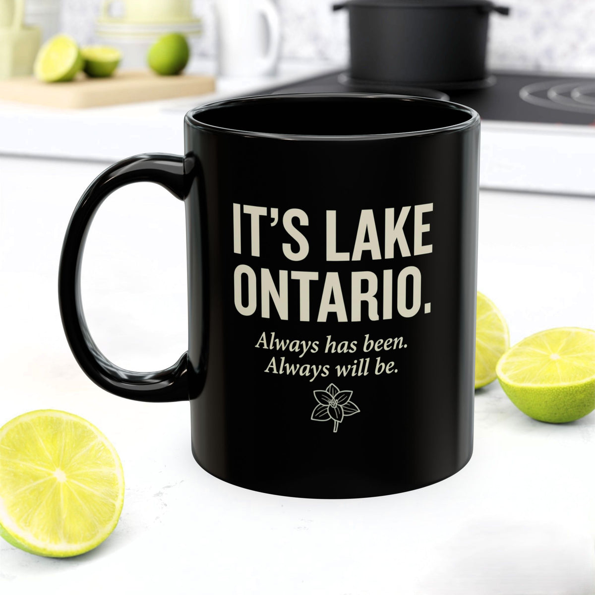 Lake Ontario Ceramic Mug | Not Lake America Coffee Cup