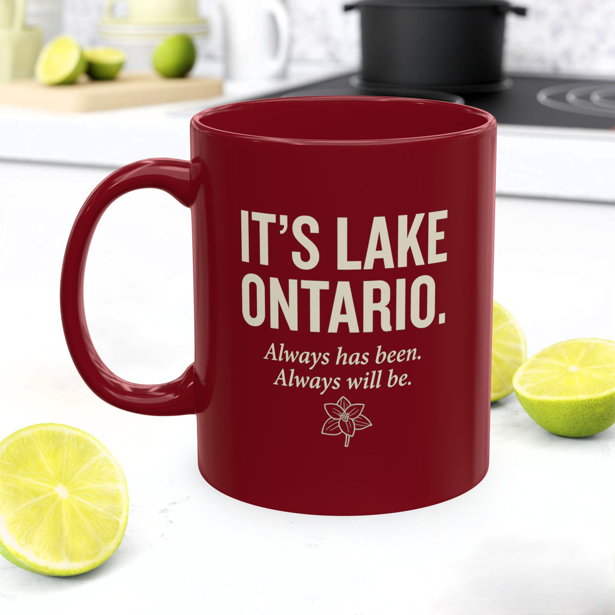 Lake Ontario Ceramic Mug | Not Lake America Coffee Cup