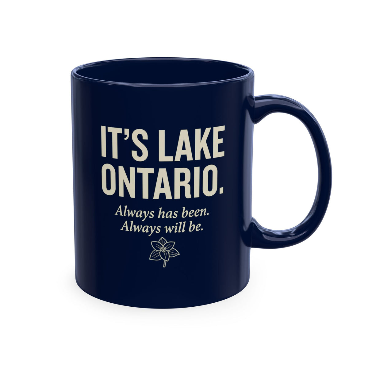 Lake Ontario Ceramic Mug | Not Lake America Coffee Cup