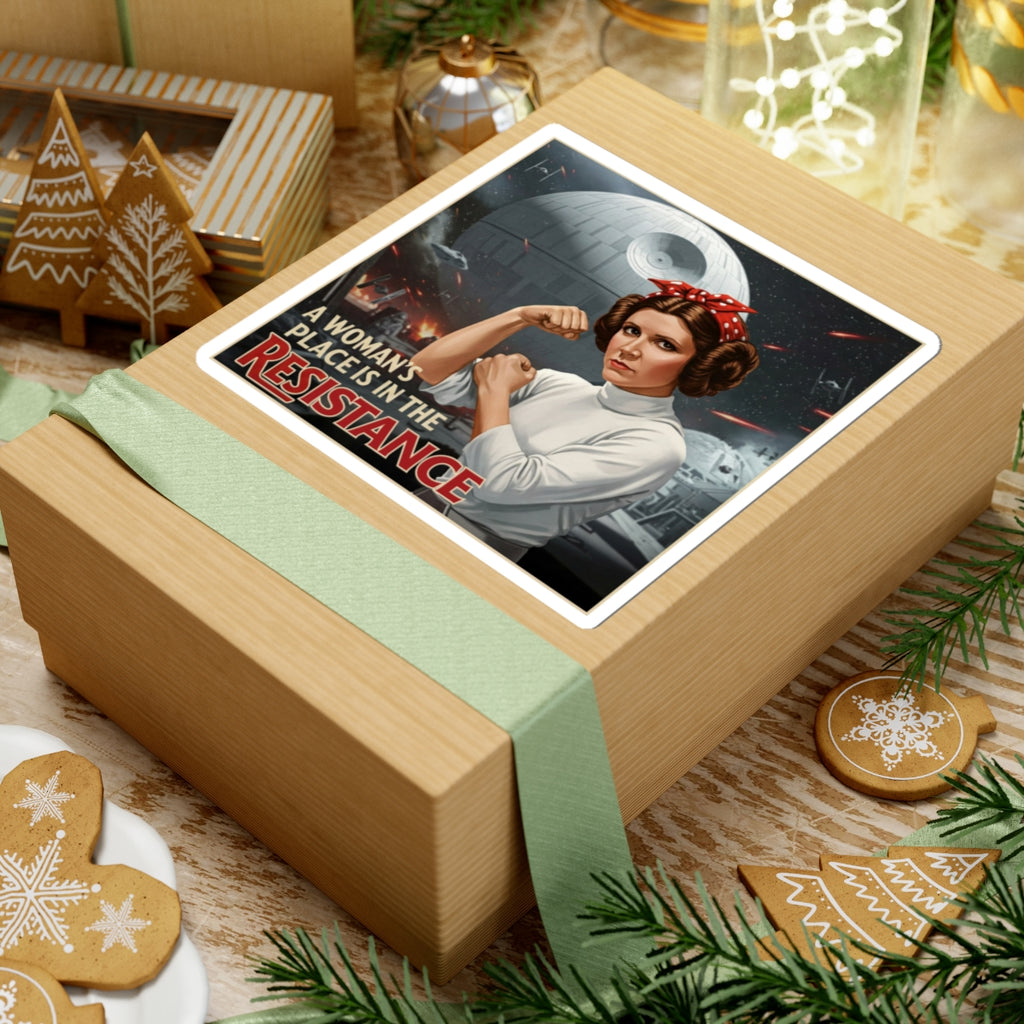 A Woman's Place is in the Resistance Stickers, Women's Rights Decals, Rebel Gifts