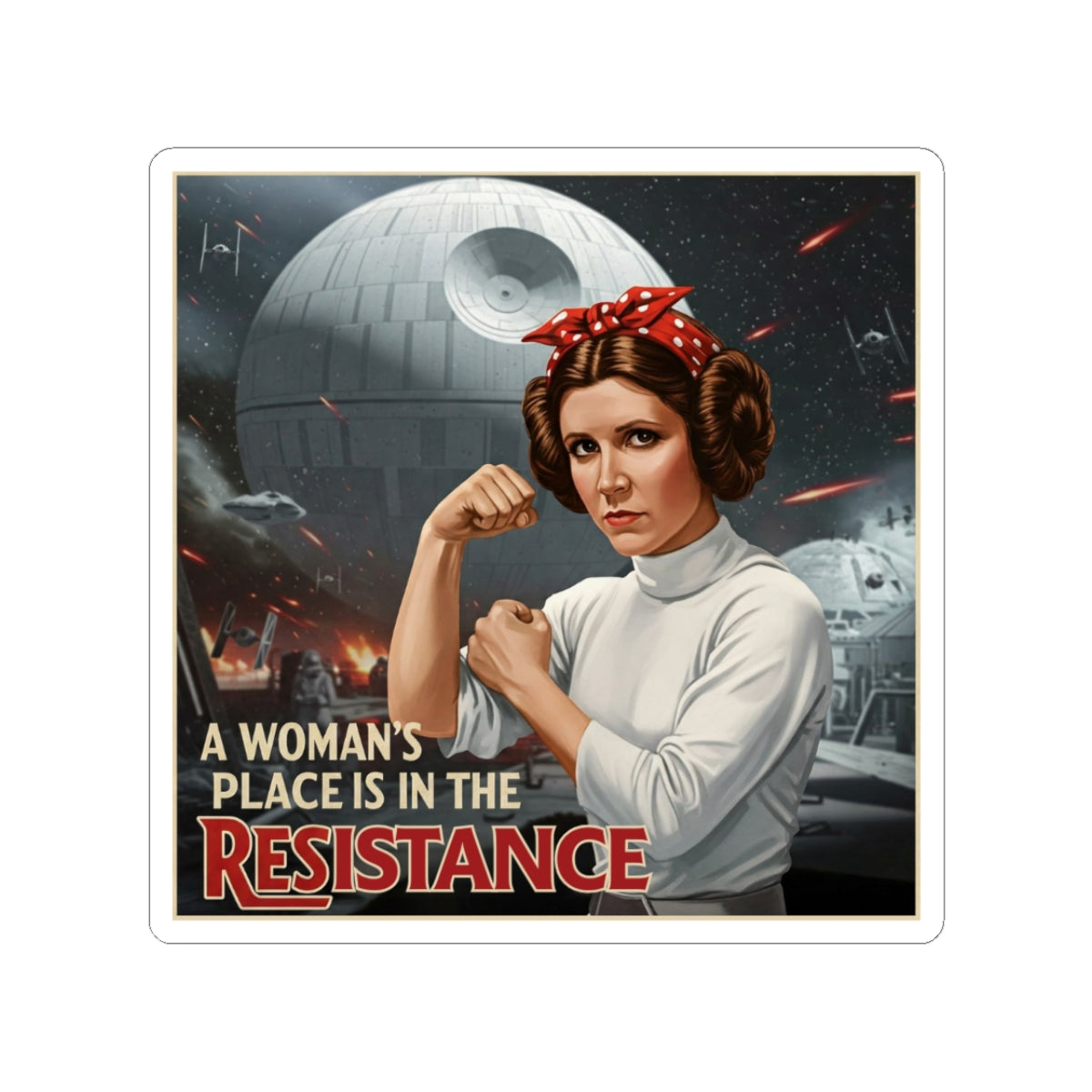 A Woman's Place is in the Resistance Stickers, Women's Rights Decals, Rebel Gifts