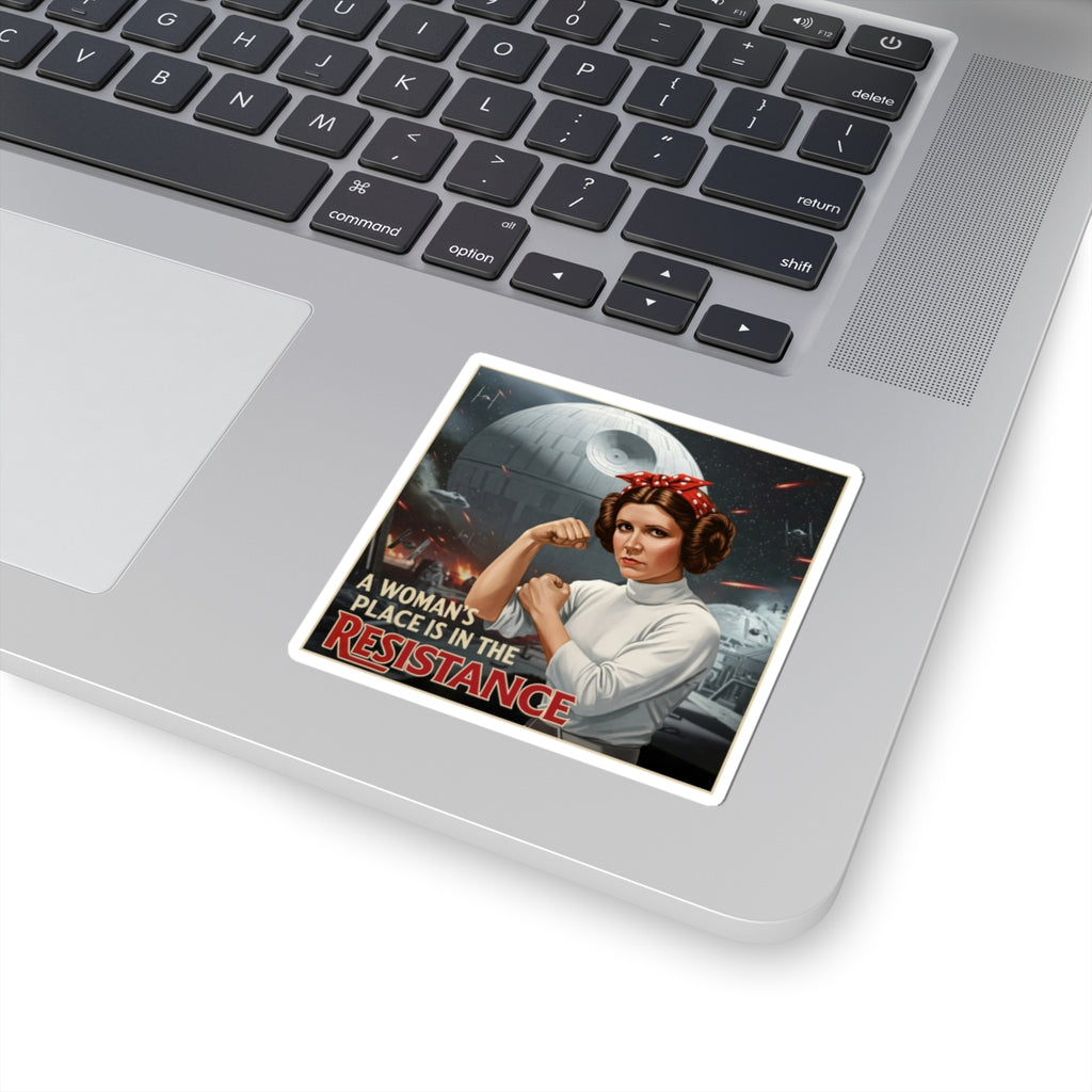A Woman's Place is in the Resistance Stickers, Women's Rights Decals, Rebel Gifts
