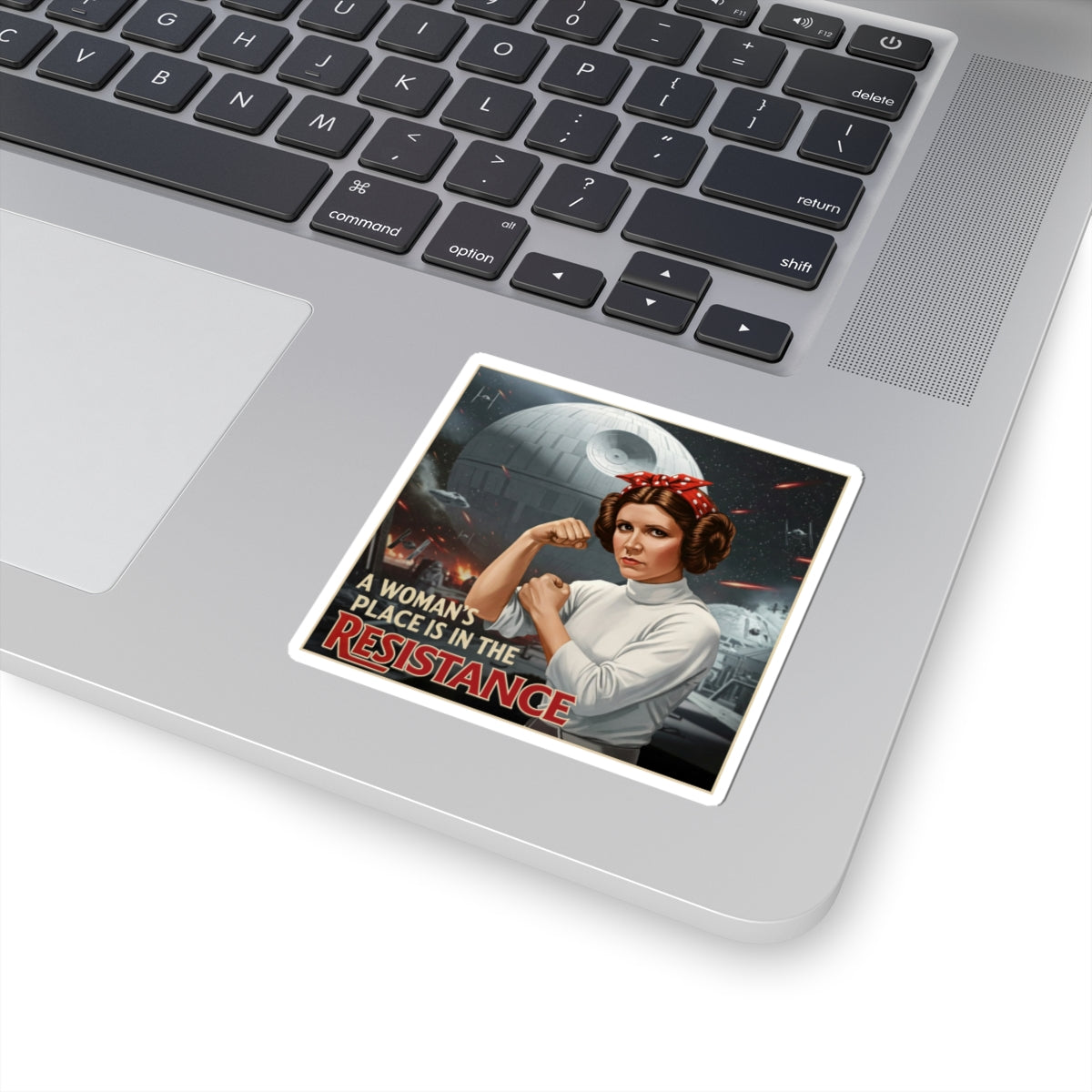 A Woman's Place is in the Resistance Stickers, Women's Rights Decals, Rebel Gifts