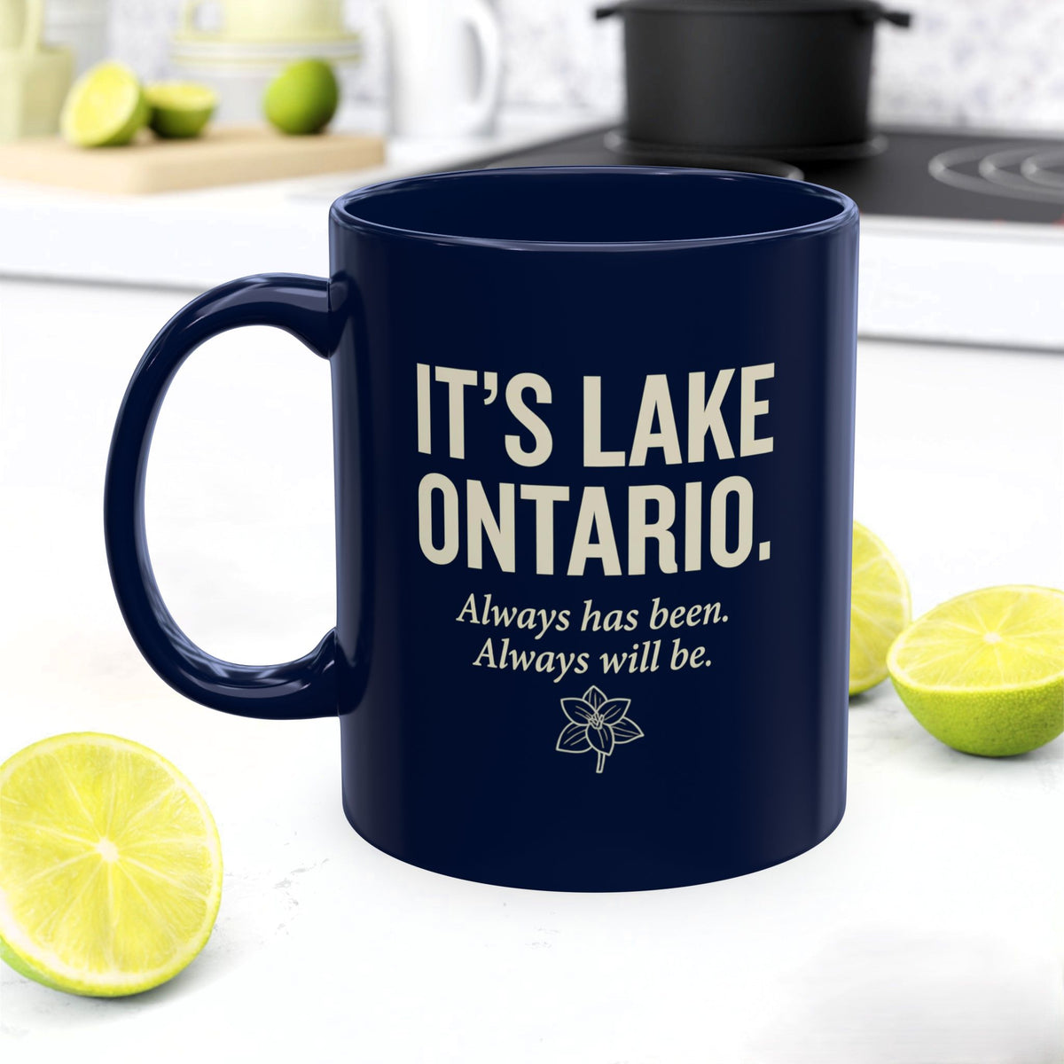 Lake Ontario Ceramic Mug | Not Lake America Coffee Cup