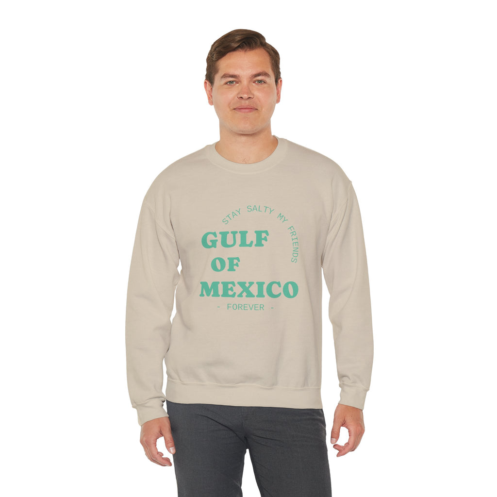 Stay Salty Unisex Sweatshirt, Gulf of Mexico Crewneck, Coastal Humor Vacation Gift