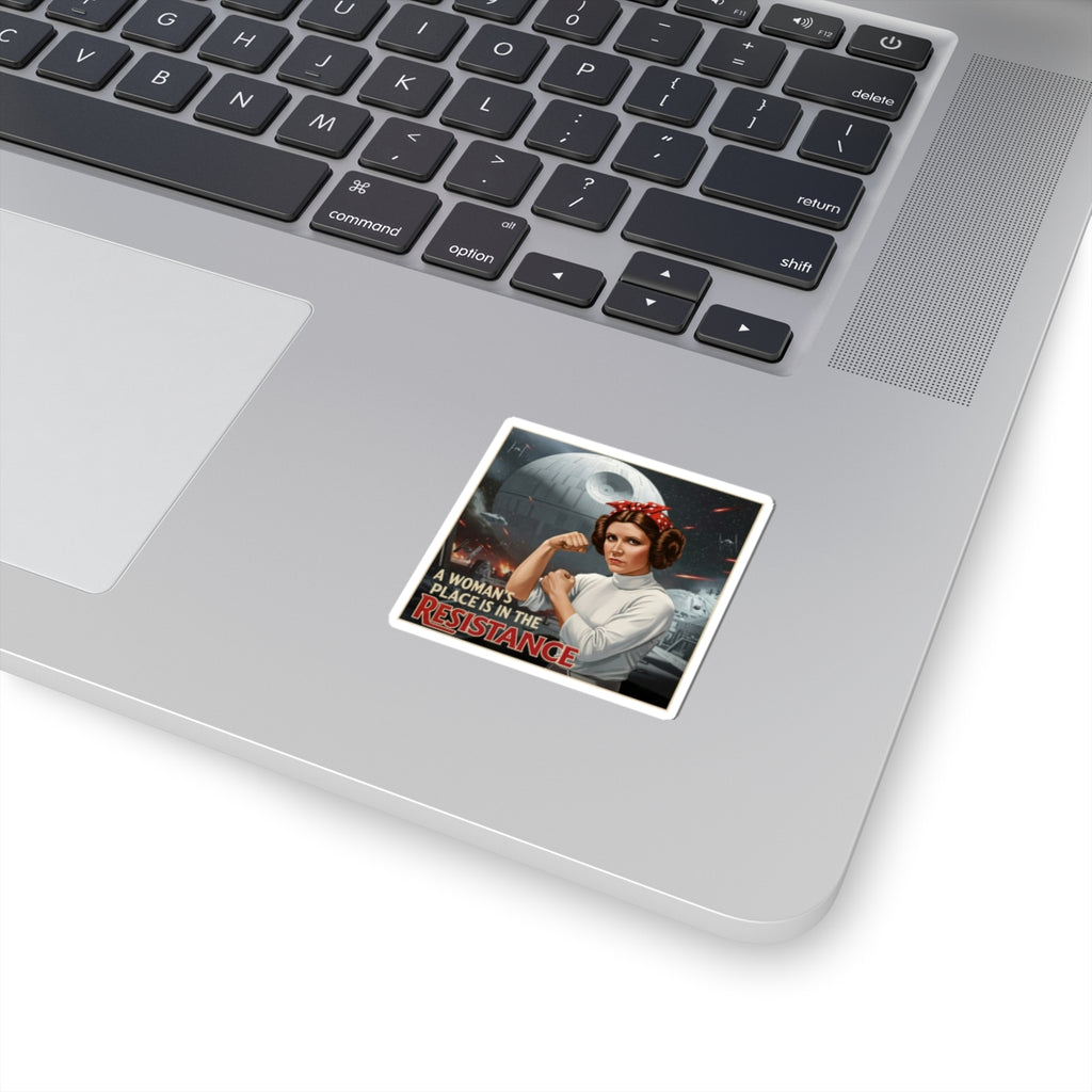 A Woman's Place is in the Resistance Stickers, Women's Rights Decals, Rebel Gifts
