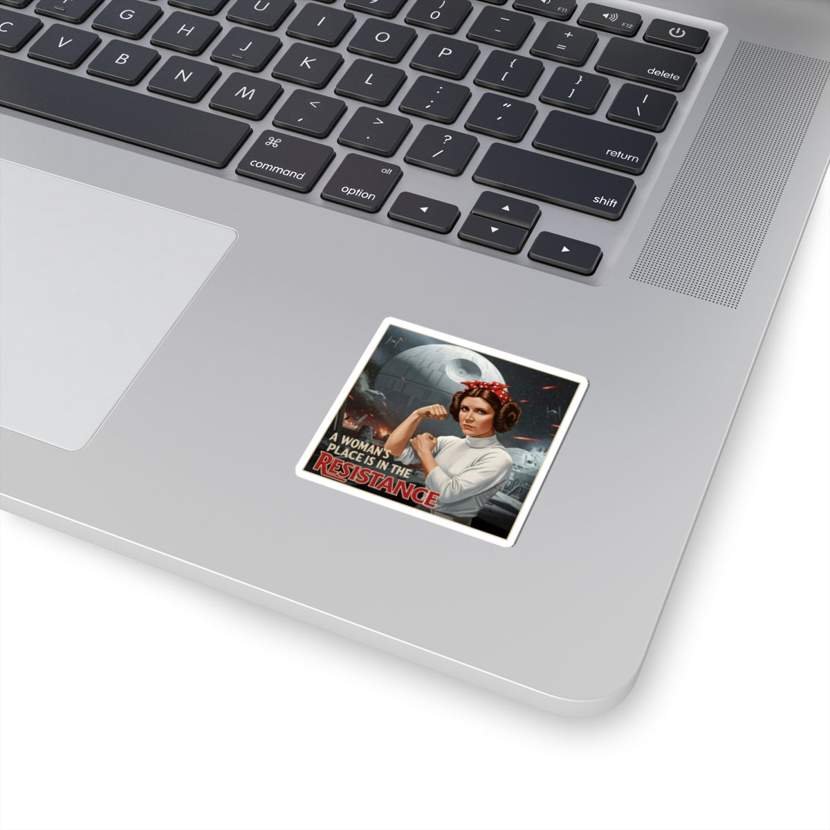 A Woman's Place is in the Resistance Stickers, Women's Rights Decals, Rebel Gifts